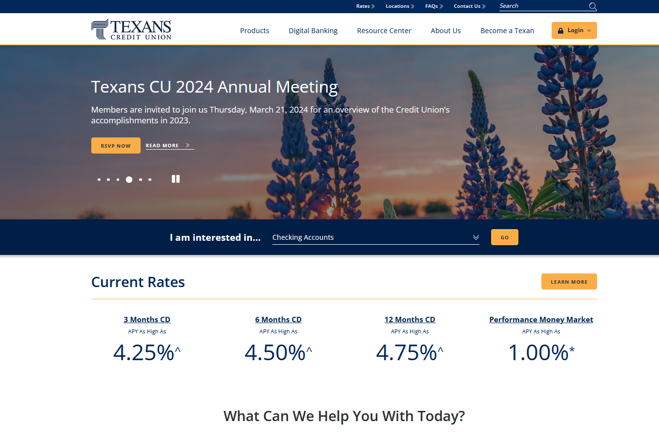 Texans Homepage Screenshot