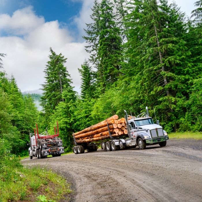 Logging trucks